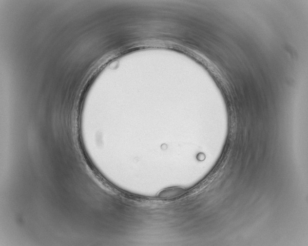 X0000114491237200911301059