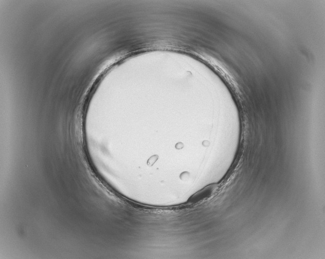 X0000114491238200911301059