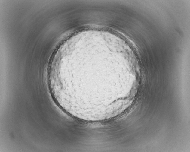 X0000114491239200911301059