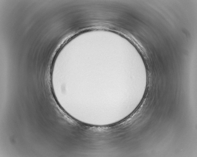 X0000114491240200911301059