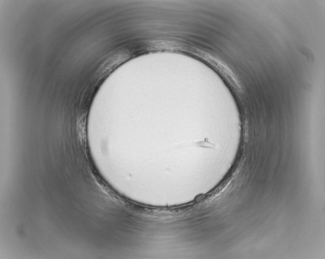 X0000114491241200911301059