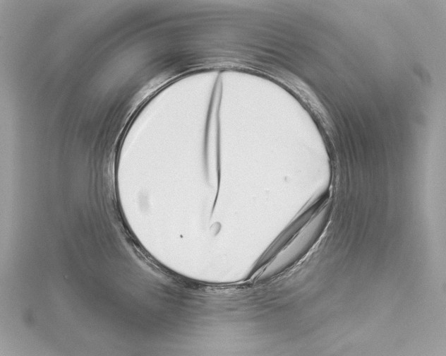 X0000114491242200911301059