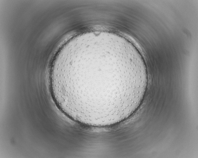 X0000114491243200911301059