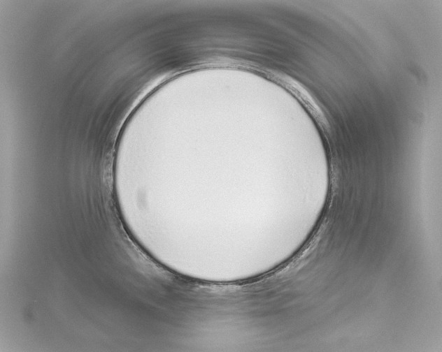 X0000114491244200911301059