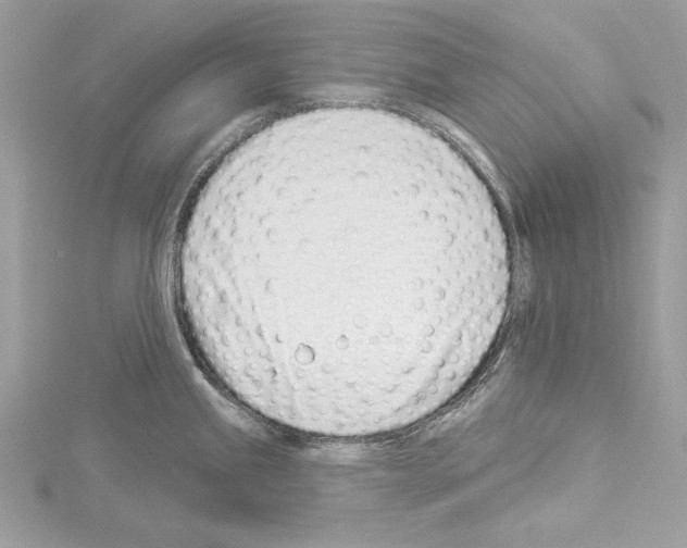 X0000114491245200911301059