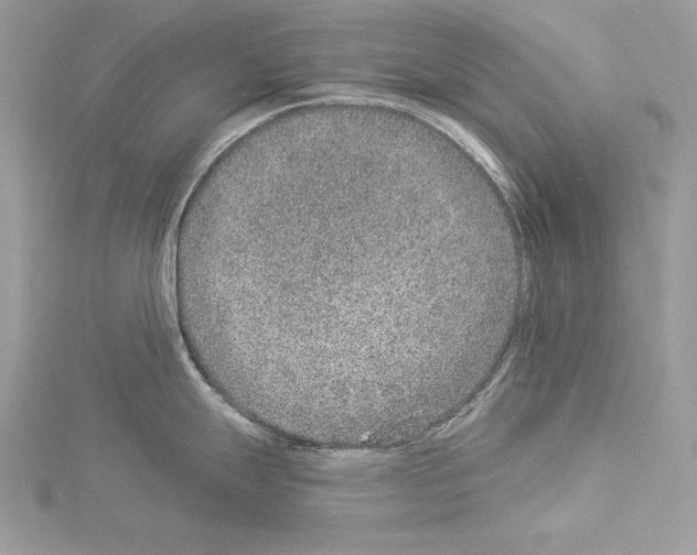 X0000114491247200911301059