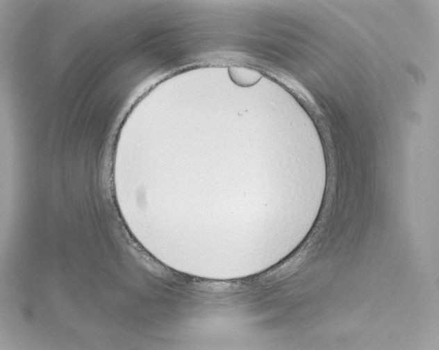 X0000114491248200911301059