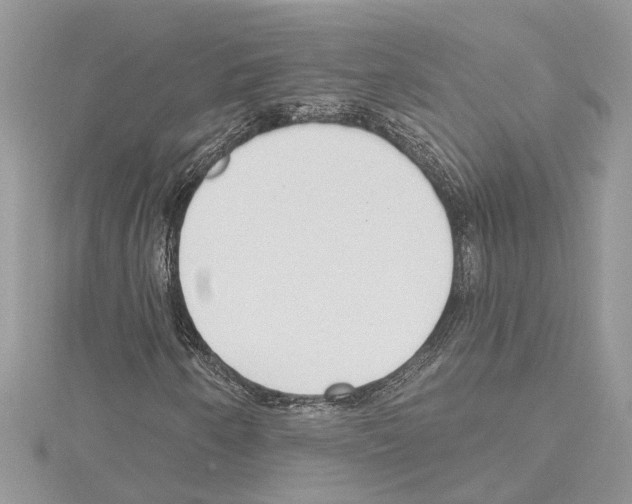 X0000114491250200911301058