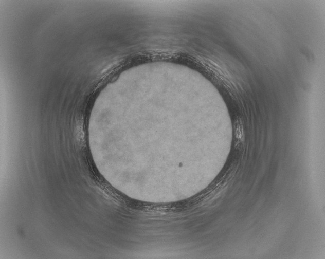 X0000114491252200911301058