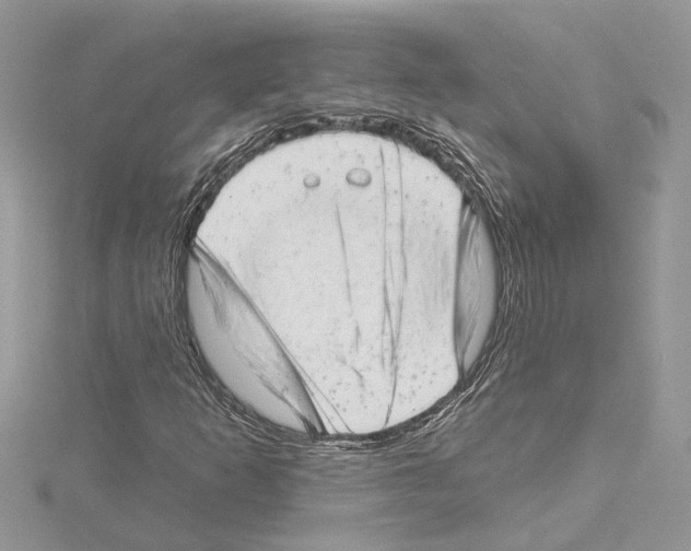 X0000114491253200911301058