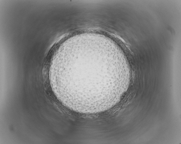 X0000114491255200911301058