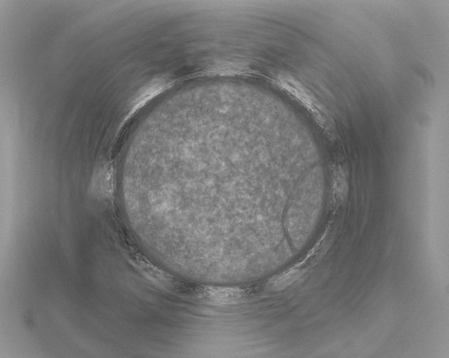 X0000114491258200911301058