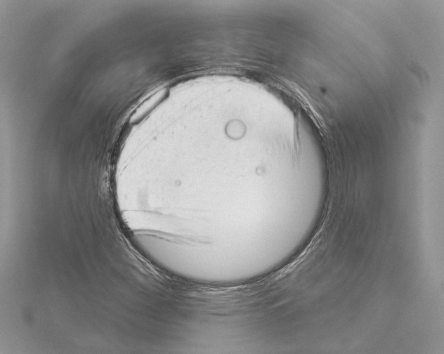 X0000114491260200911301058