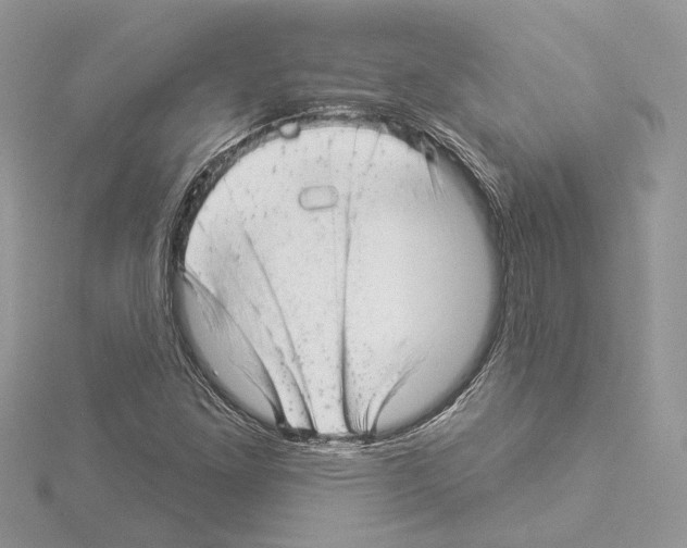 X0000114491261200911301058