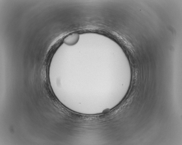 X0000114491262200911301058