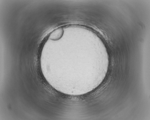 X0000114491263200911301058