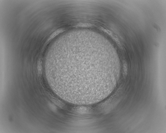 X0000114491266200911301058