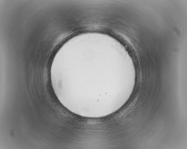 X0000114491267200911301058