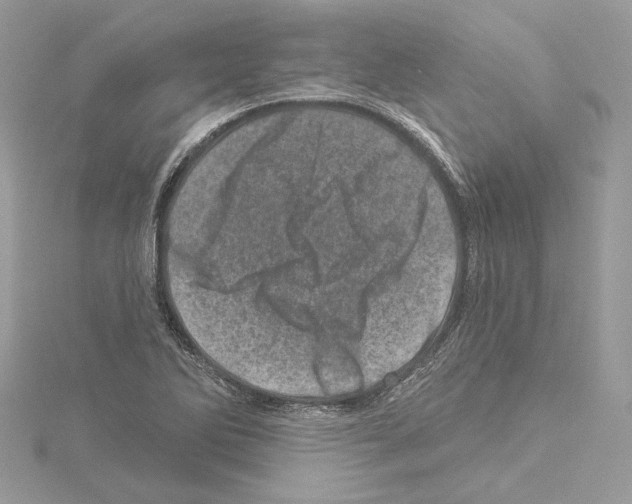 X0000114491270200911301058