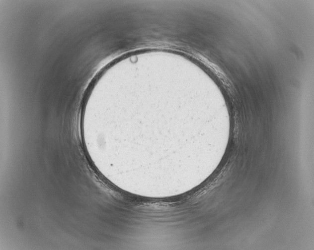 X0000114491272200911301058