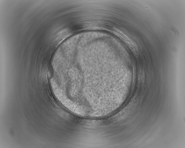 X0000114491273200911301058