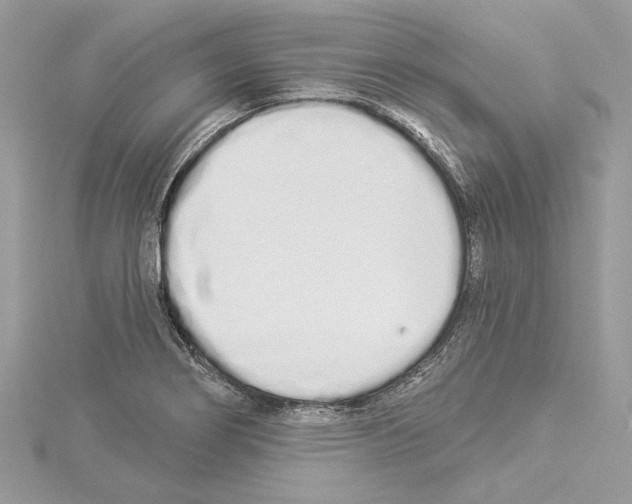 X0000114491274200911301058