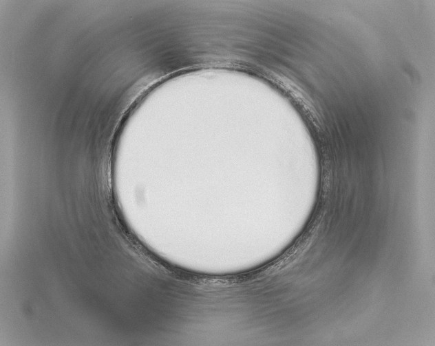 X0000114491275200911301058