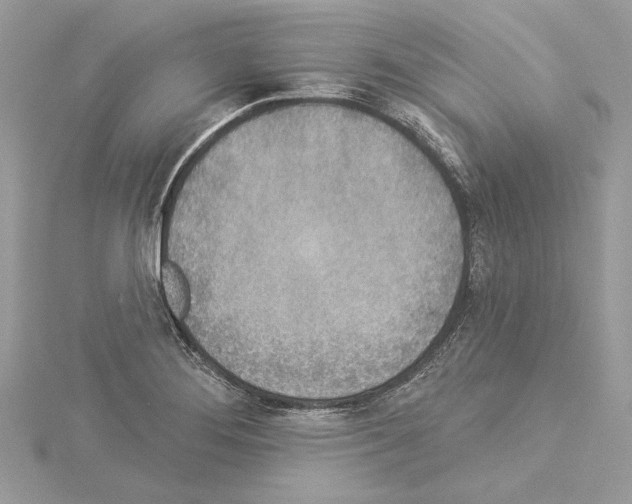 X0000114491276200911301058