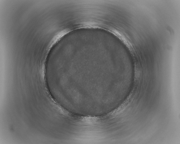 X0000114491277200911301058