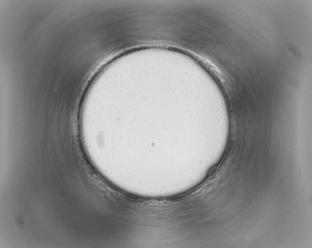 X0000114491279200911301058