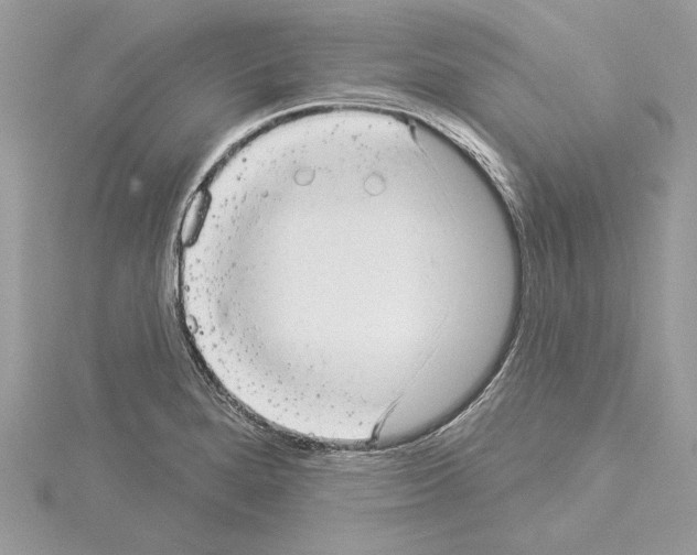 X0000114491280200911301058