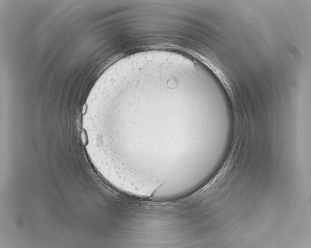 X0000114491281200911301058