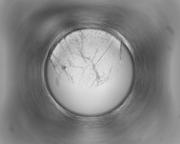 X0000114491285200911301058