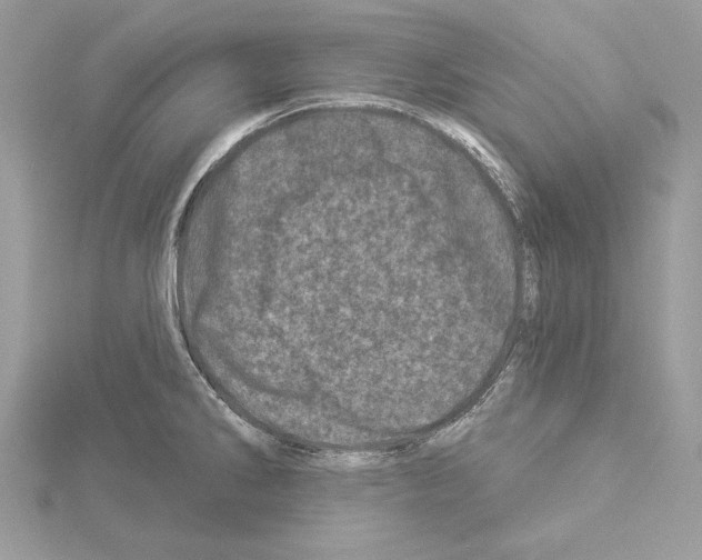 X0000114491286200911301058