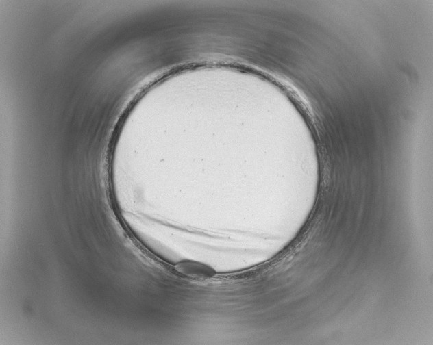 X0000114491287200911301058