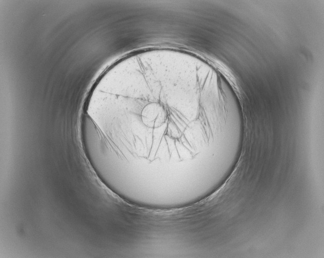 X0000114491288200911301058