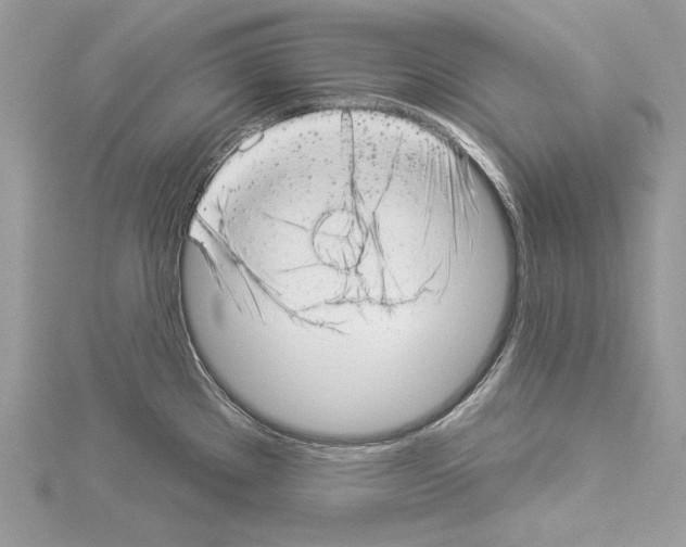 X0000114491289200911301058