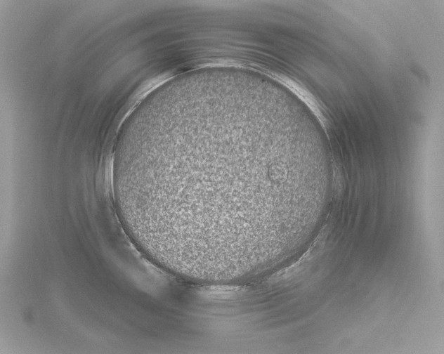 X0000114491290200911301058