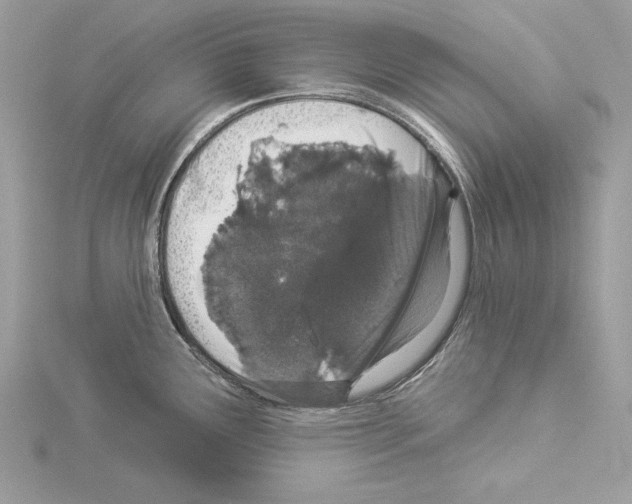 X0000114491291200911301058