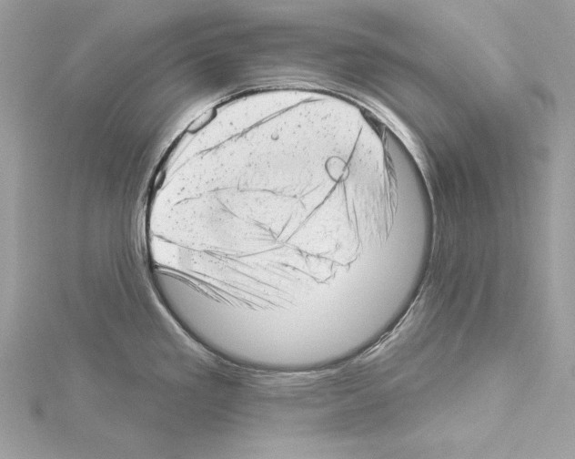 X0000114491293200911301058