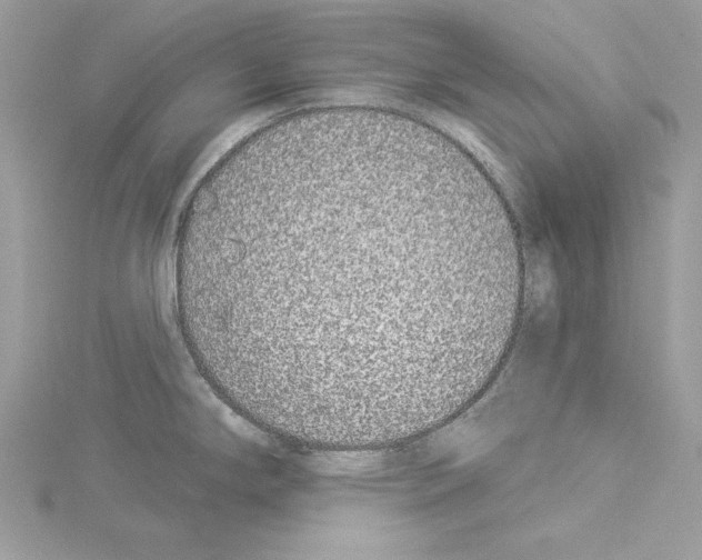 X0000114491294200911301058