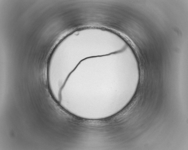 X0000114491295200911301058