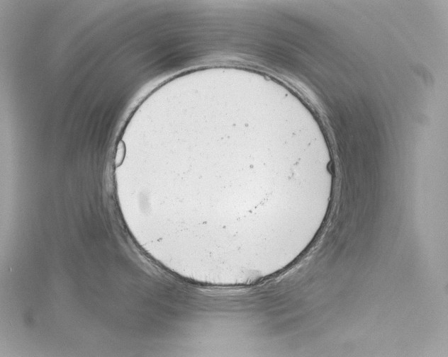 X0000114491296200911301058