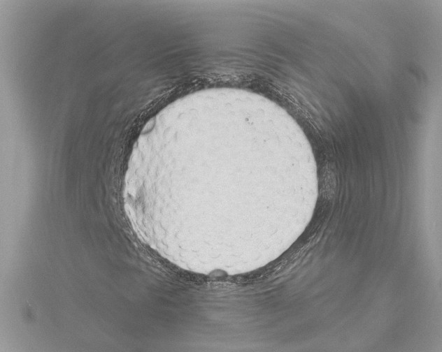 X0000114491297200911301057