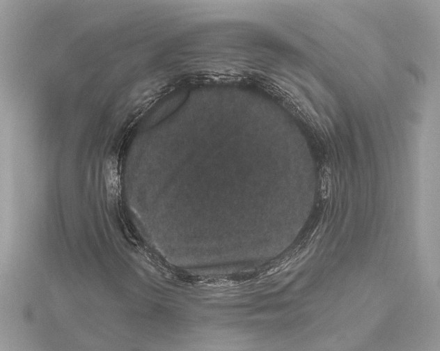 X0000114491298200911301057