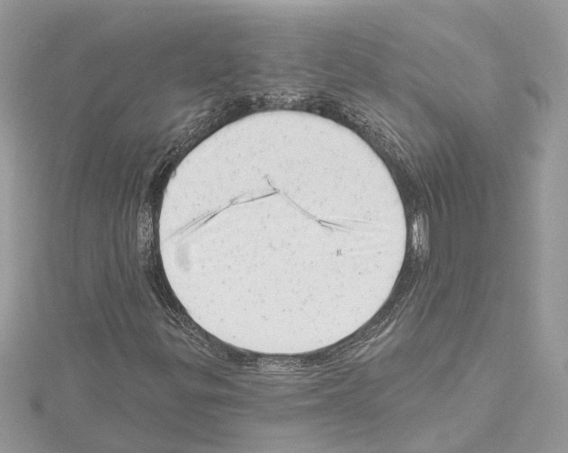 X0000114491299200911301057