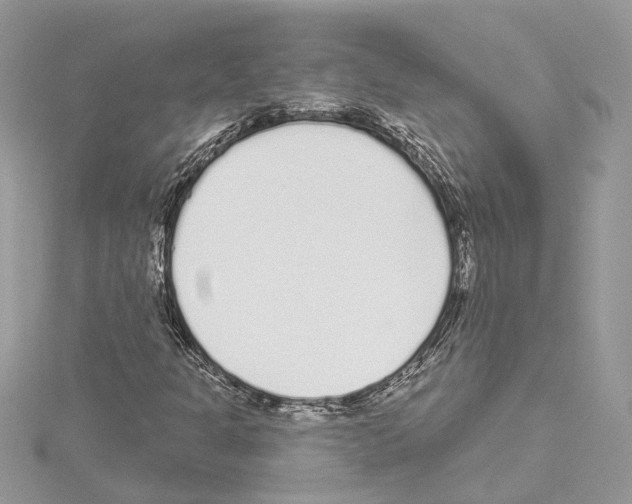 X0000114491301200911301057