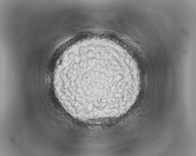 X0000114491302200911301057