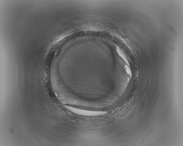 X0000114491303200911301057