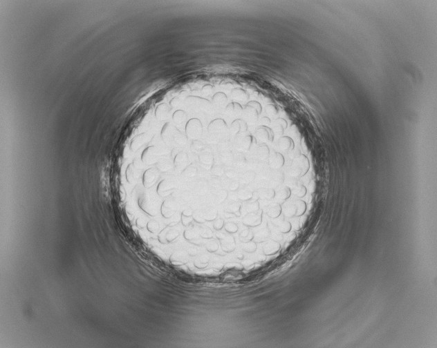 X0000114491305200911301057